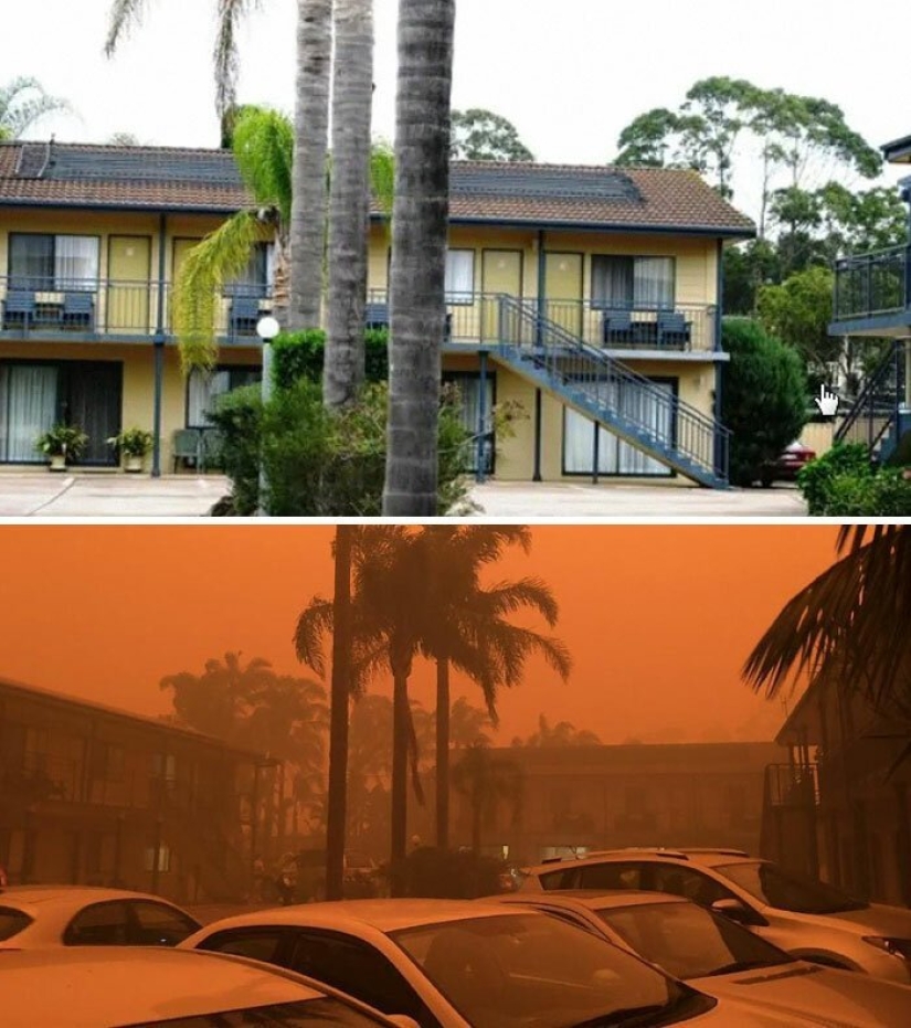 21 photos showing the aftermath of horrific bushfires in Australia 21 photos showing the aftermath of horrific bushfires in Australia