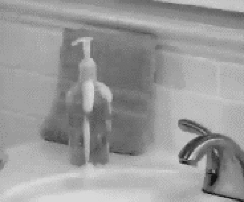 21 the most ridiculous gif about inept people from the "shop on the couch" advertisement