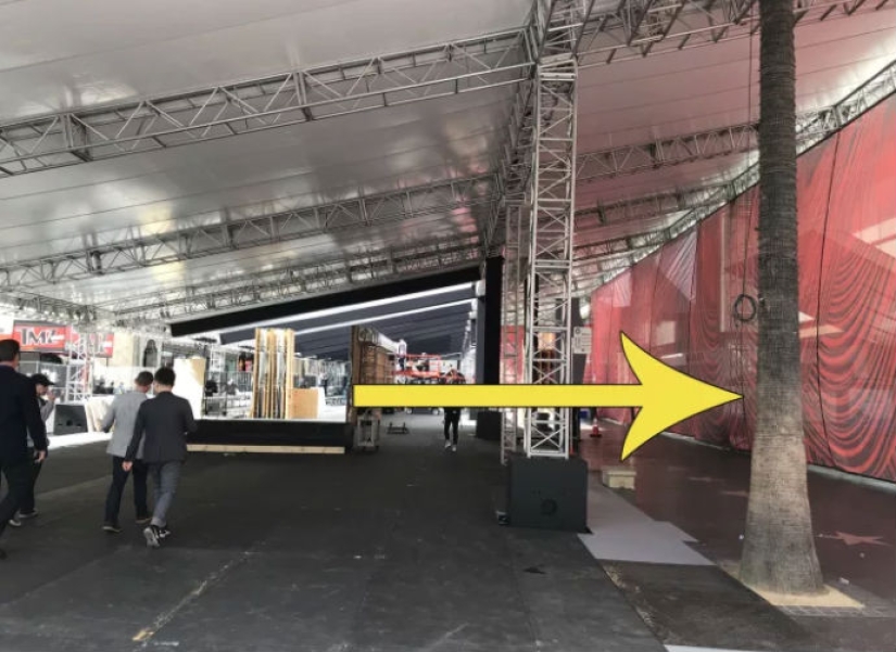 22 facts about the Oscar ceremony that you hardly know about