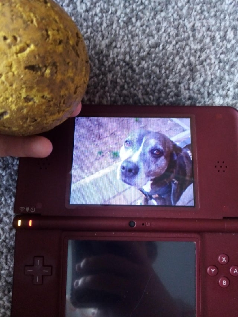 22 fotos conmovedoras que te traen lágrimas a los ojos 22 fotos conmovedoras que te traen lágrimas a los ojos