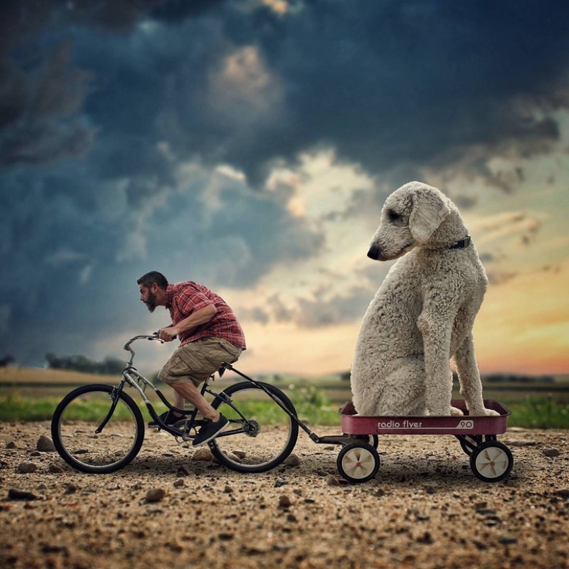 22 funny photos about the incredible adventures of a photographer and his "giant" dog