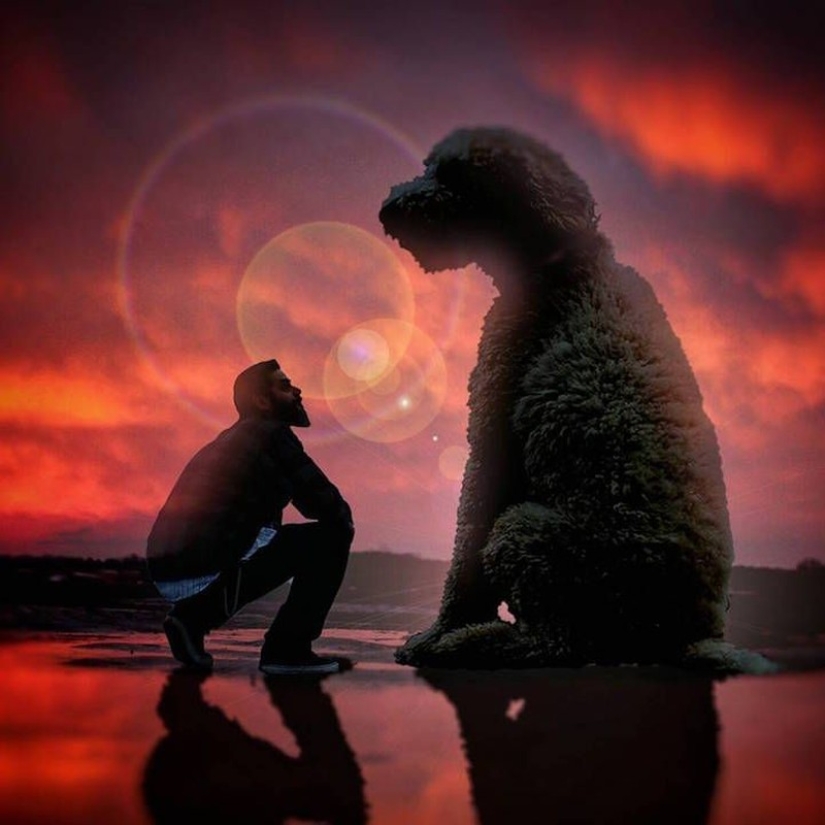 22 funny photos about the incredible adventures of a photographer and his "giant" dog