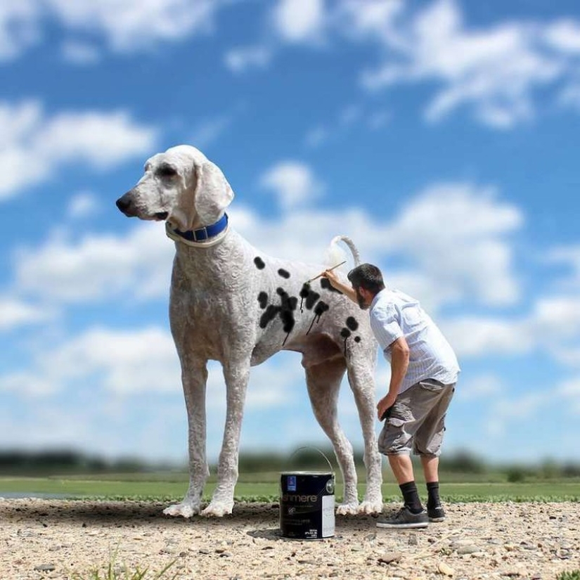 22 funny photos about the incredible adventures of a photographer and his "giant" dog