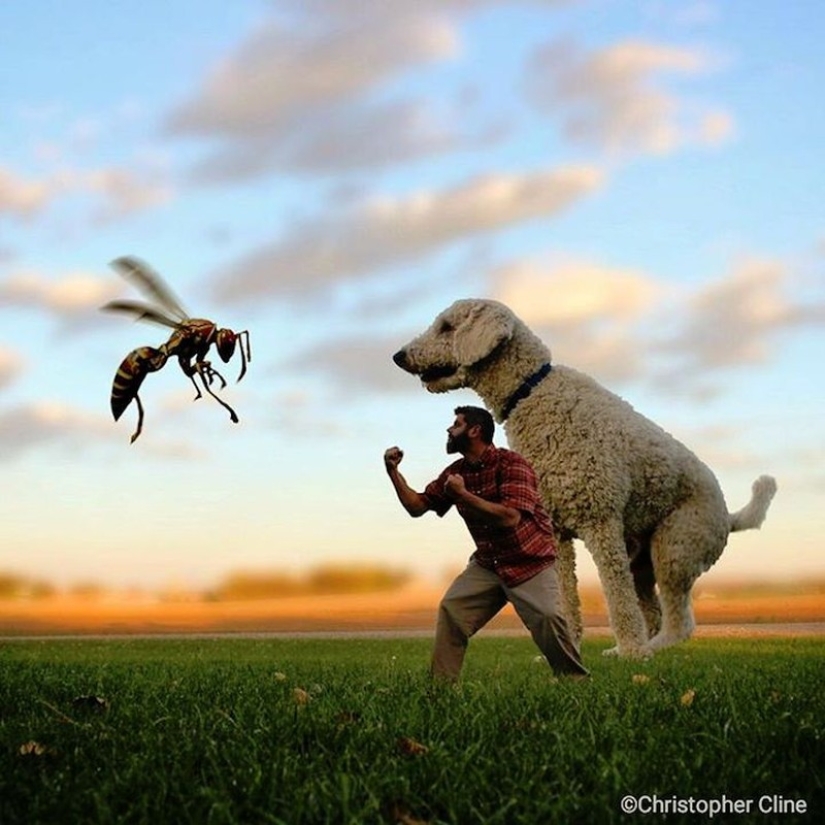 22 funny pictures about the incredible adventures of a photographer and his giant dog 22 funny pictures about the incredible adventures of a photographer and his giant dog