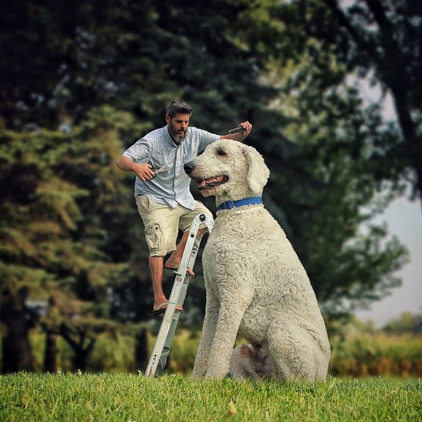 22 funny pictures about the incredible adventures of a photographer and his giant dog 22 funny pictures about the incredible adventures of a photographer and his giant dog