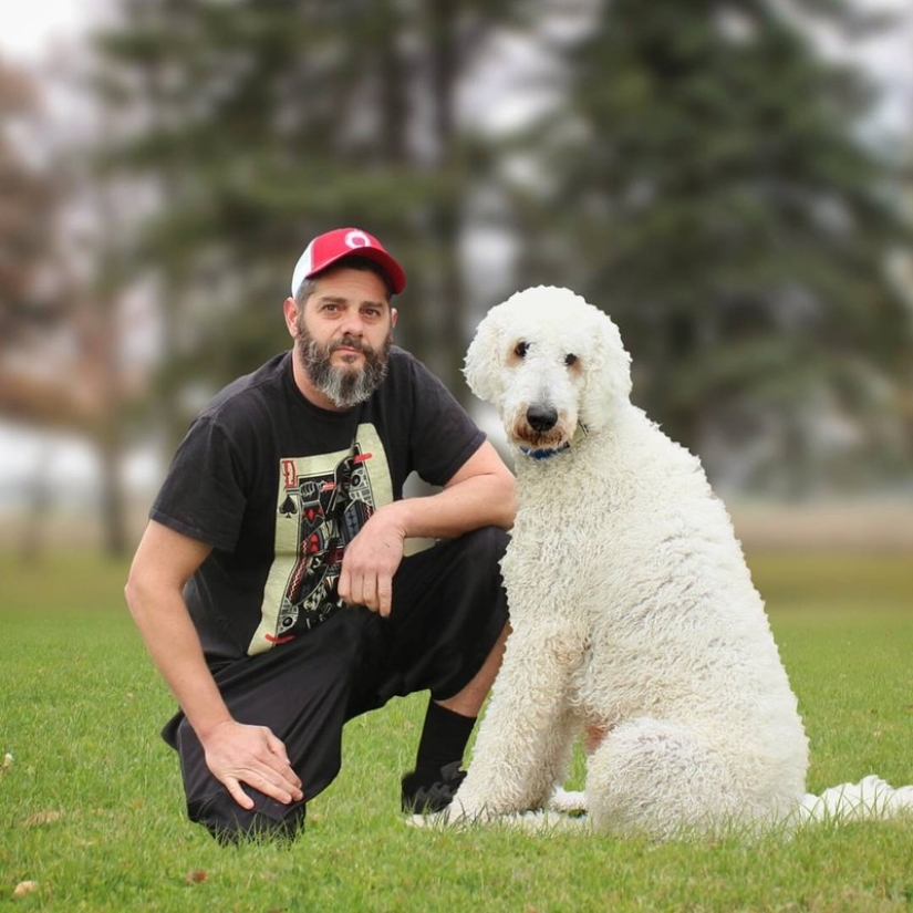 22 imágenes divertidas acerca de las increíbles aventuras de un fotógrafo y su perro gigante