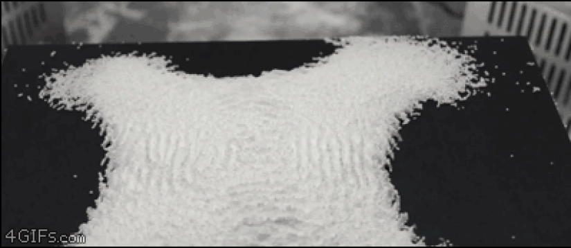 22 pruebas de que el futuro ya ha llegado 22 pruebas de que el futuro ya ha llegado