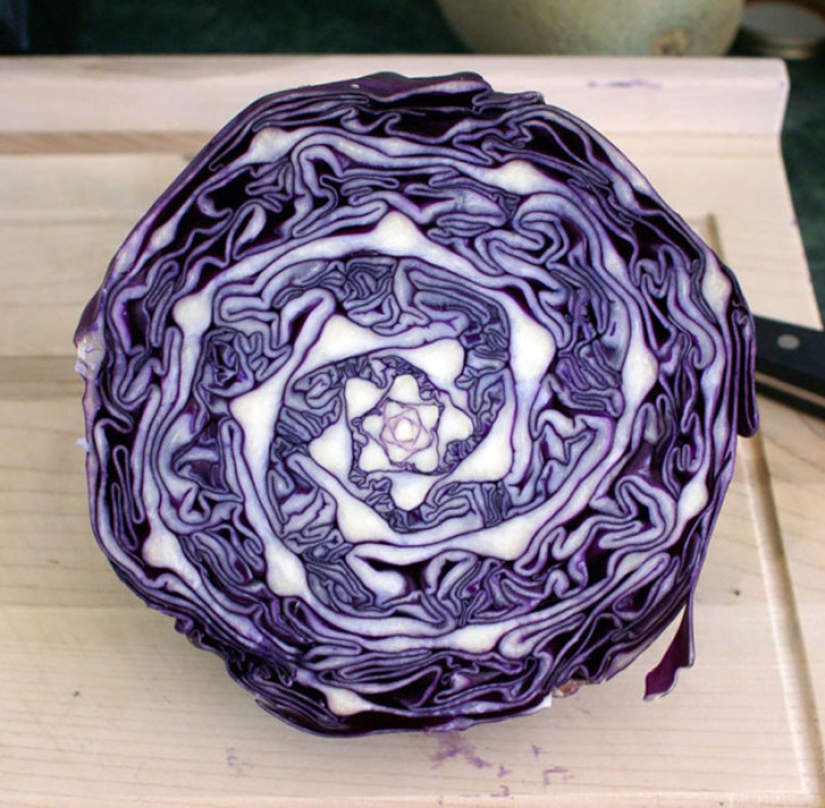 23 fotos con cosas que son dolorosamente perfectas 23 fotos con cosas que son dolorosamente perfectas