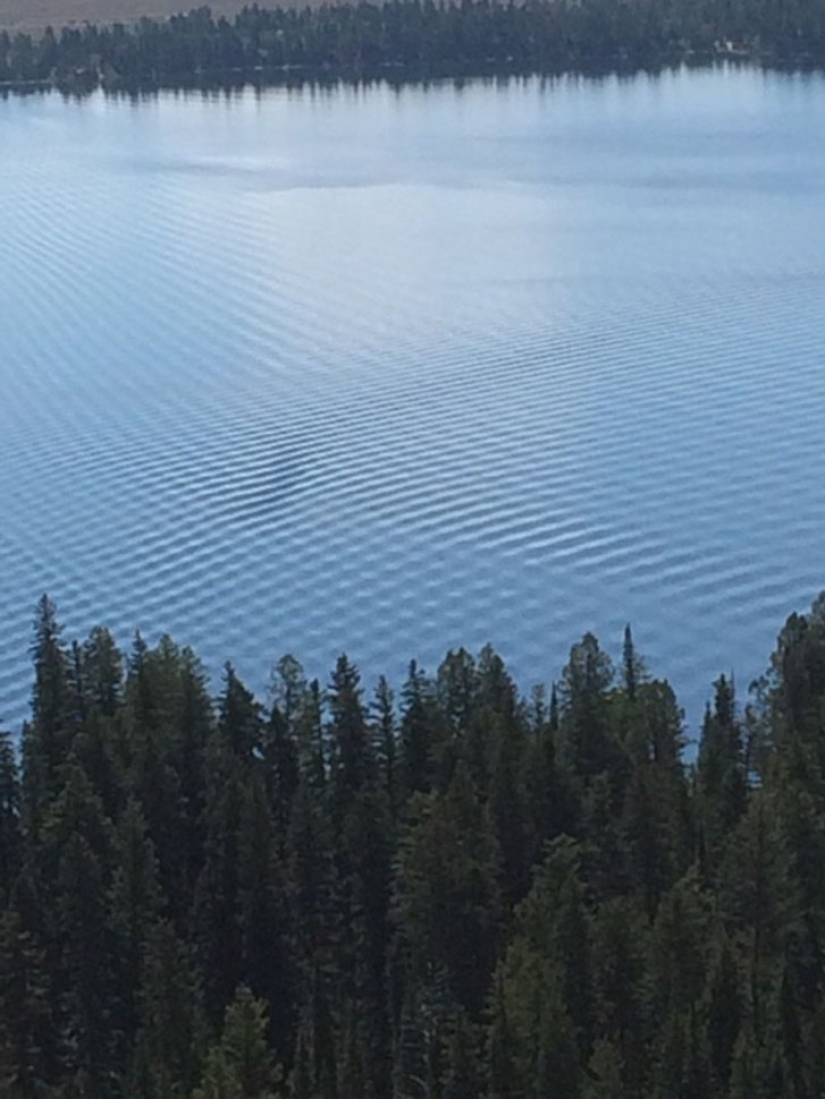 23 fotos con cosas que son dolorosamente perfectas 23 fotos con cosas que son dolorosamente perfectas