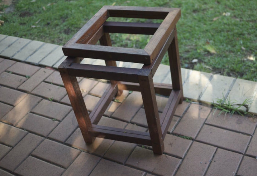 2,3 kilos de moscas por semana: cómo deshacerse de los insectos en el país según el método australiano 2,3 kilos de moscas por semana: cómo deshacerse de los insectos en el país según el método australiano