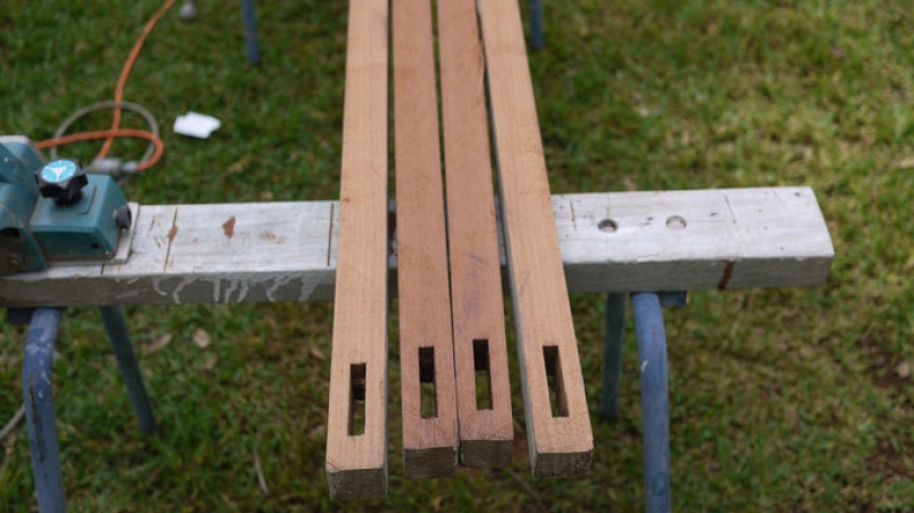 2,3 kilos de moscas por semana: cómo deshacerse de los insectos en el país según el método australiano 2,3 kilos de moscas por semana: cómo deshacerse de los insectos en el país según el método australiano