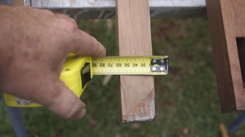 2,3 kilos de moscas por semana: cómo deshacerse de los insectos en el país según el método australiano 2,3 kilos de moscas por semana: cómo deshacerse de los insectos en el país según el método australiano