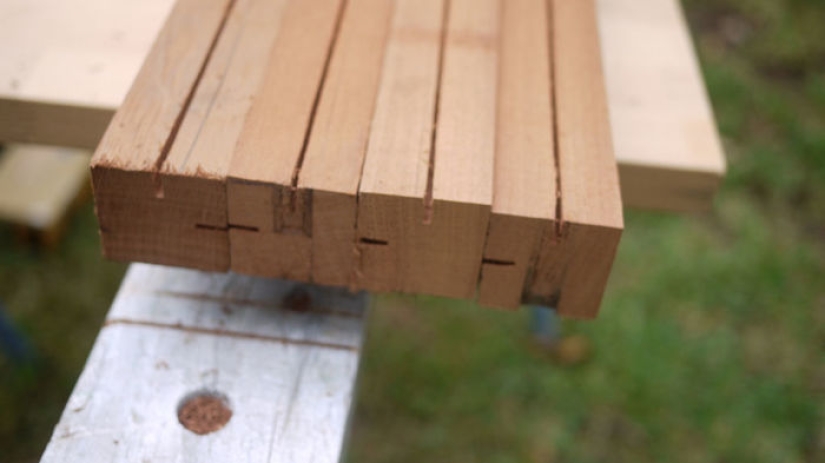 2,3 kilos de moscas por semana: cómo deshacerse de los insectos en el país según el método australiano 2,3 kilos de moscas por semana: cómo deshacerse de los insectos en el país según el método australiano