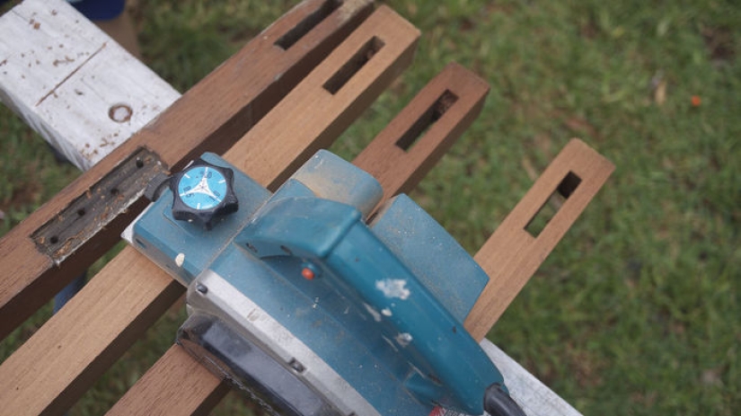 2.3 kilos of flies per week: how to get rid of insects in the country according to the Australian method 2.3 kilos of flies per week: how to get rid of insects in the country according to the Australian method