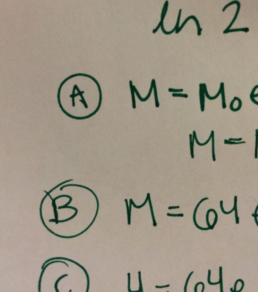 23 photos with things that are painfully perfect