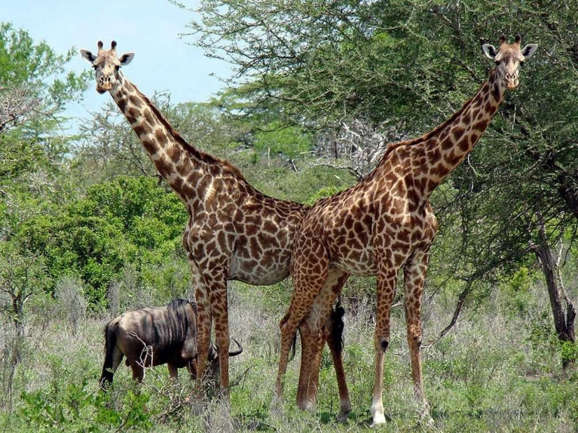 23 unknown facts about our world that will make you think