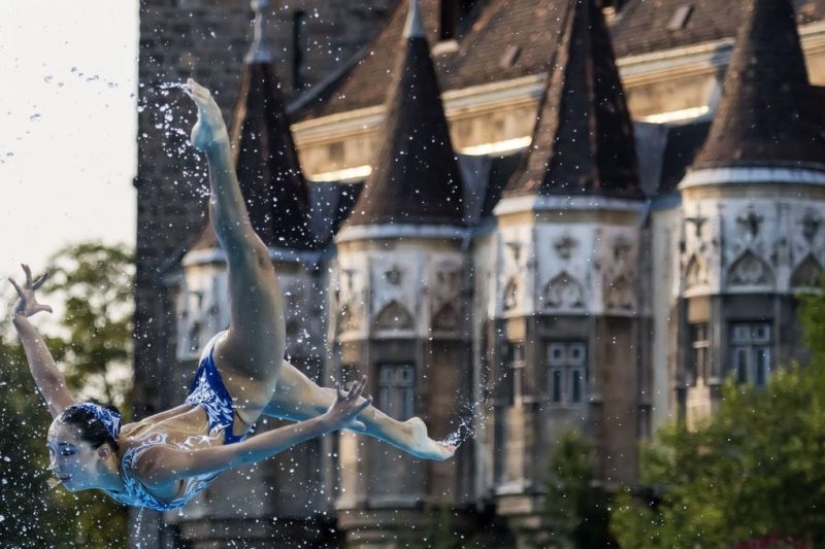 25 best works from the Siena Photo Awards 2018 photo contest