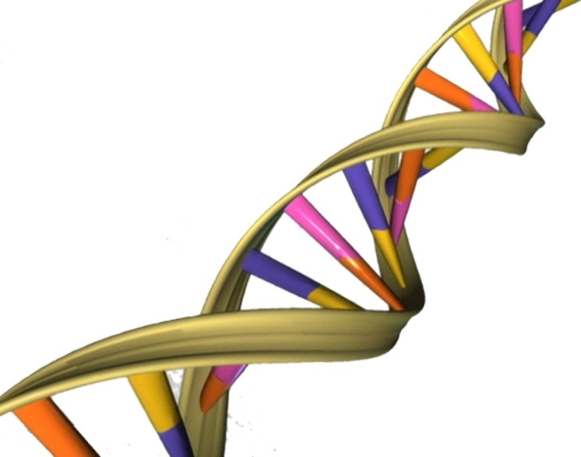 25 cosas sobre Genghis Khan que no sabíamos