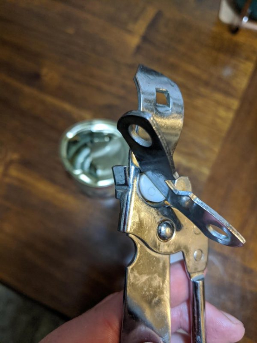 25 ejemplos ilustrativos de lo que significa la frase "mal día"