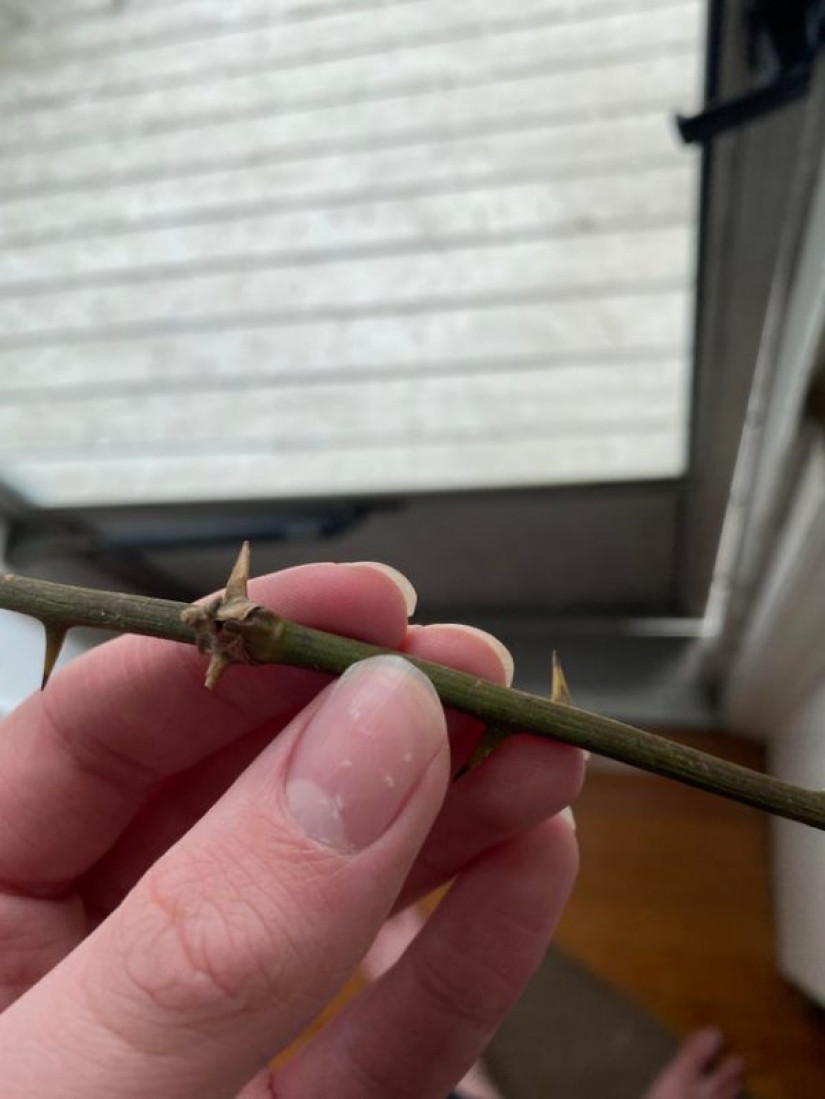 25 ejemplos ilustrativos de lo que significa la frase "mal día"