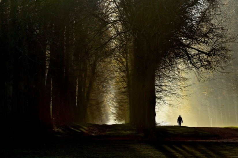 25 fotogramas que encantaron incluso a los fotógrafos profesionales