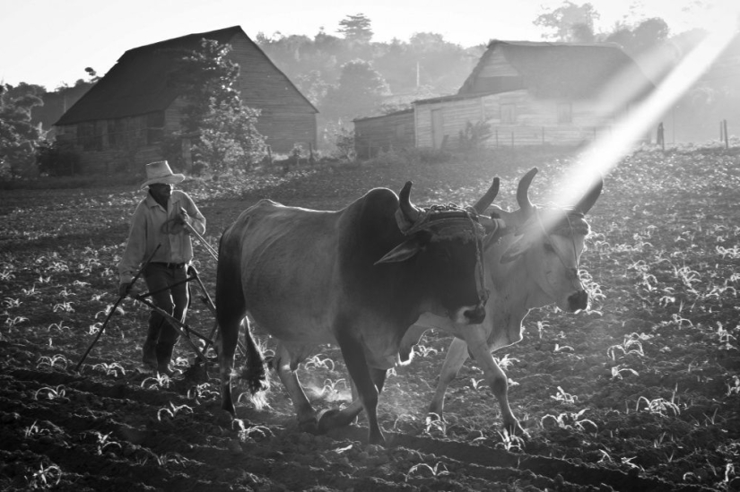 25 fotogramas que encantaron incluso a los fotógrafos profesionales