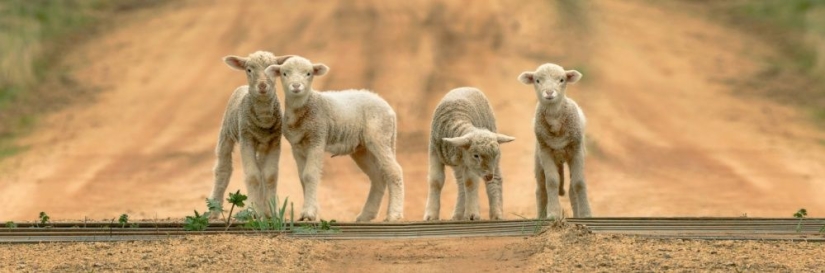 25 fotogramas que encantaron incluso a los fotógrafos profesionales