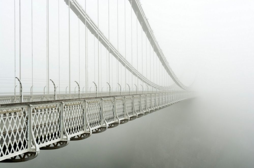 25 fotogramas que encantaron incluso a los fotógrafos profesionales