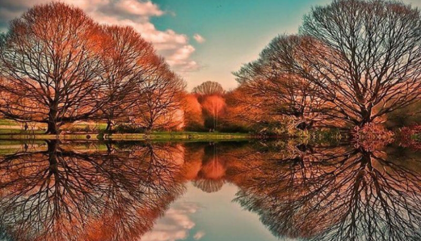 25 fotos en las que no está claro dónde está el reflejo y dónde está la realidad