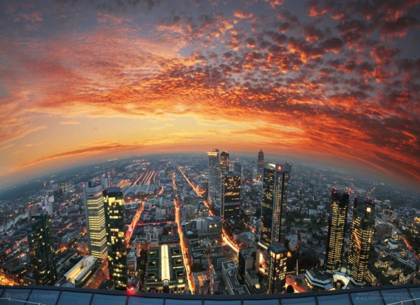 25 frames that charmed even professional photographers