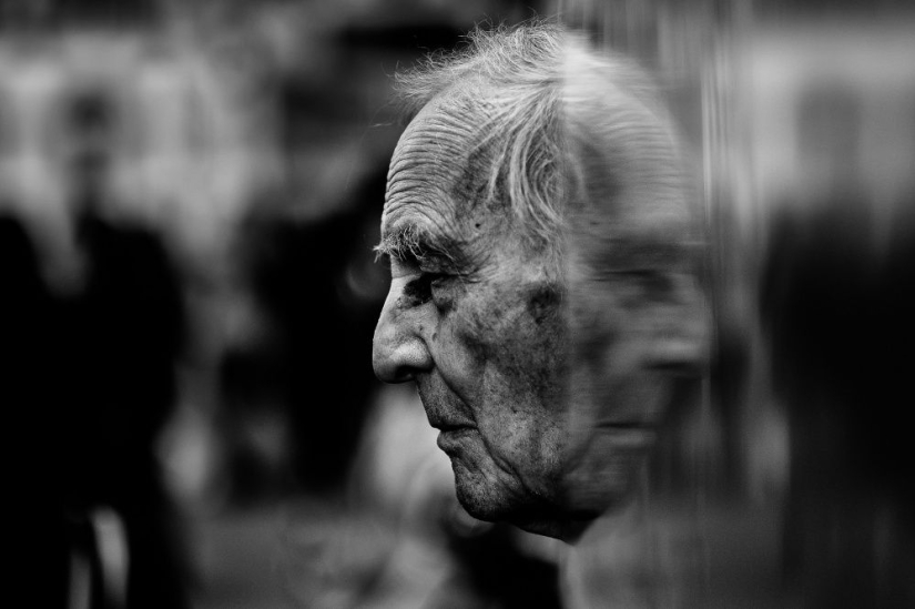 25 frames that charmed even professional photographers