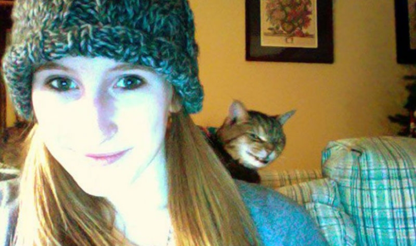 25 gatos insidiosos que planeaban matar a sus dueños en secreto 25 gatos insidiosos que planeaban matar a sus dueños en secreto