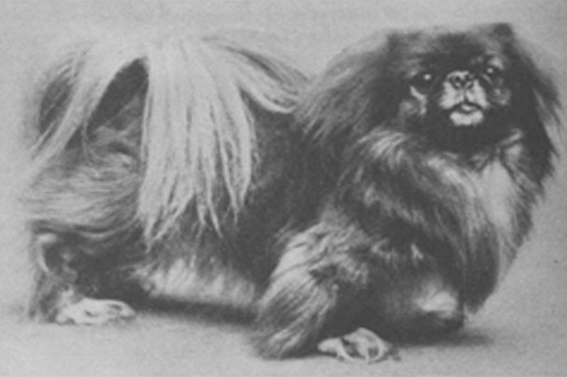 25 hechos sobre el Titanic que pueden sorprenderte