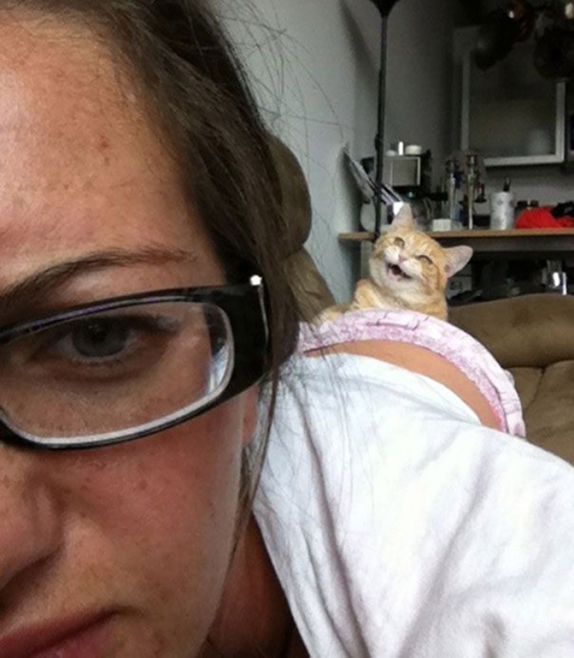 25 insidious cats who secretly planned to kill their owners 25 insidious cats who secretly planned to kill their owners