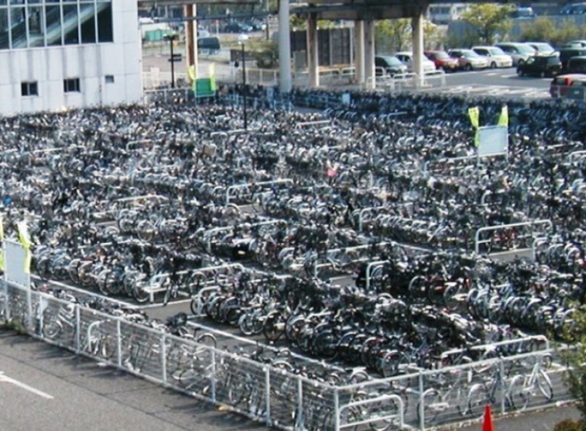 25 locuras que solo se pueden encontrar en Japón 25 locuras que solo se pueden encontrar en Japón