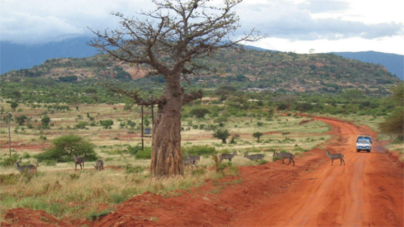 25 lugares más hermosos donde nadie te molestará