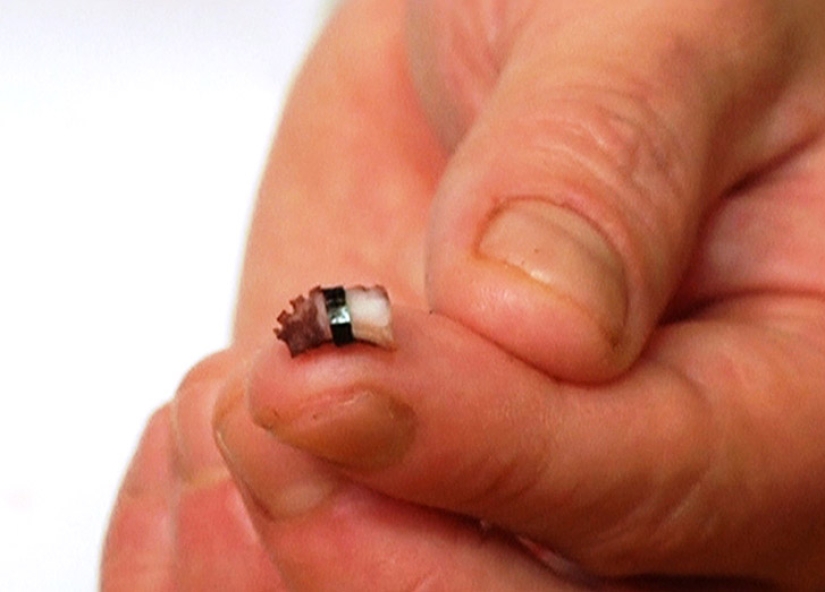 25 most amazing restaurants from around the world