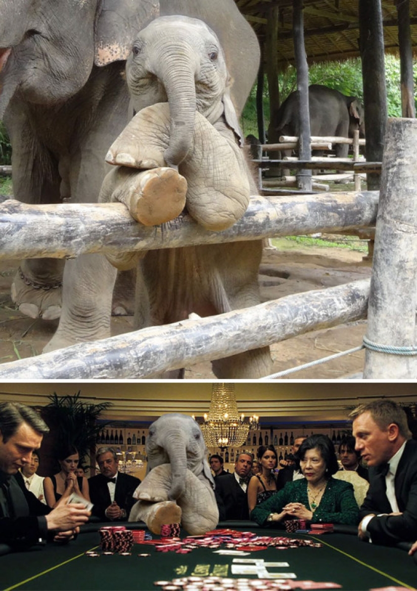 25 obras de los ganadores de las batallas de photoshop 25 obras de los ganadores de las batallas de photoshop