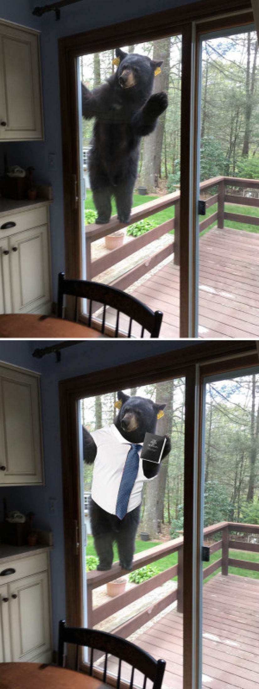 25 obras de los ganadores de las batallas de photoshop 25 obras de los ganadores de las batallas de photoshop