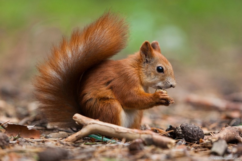 25 Soviet things you haven't heard about abroad 25 Soviet things you haven't heard about abroad