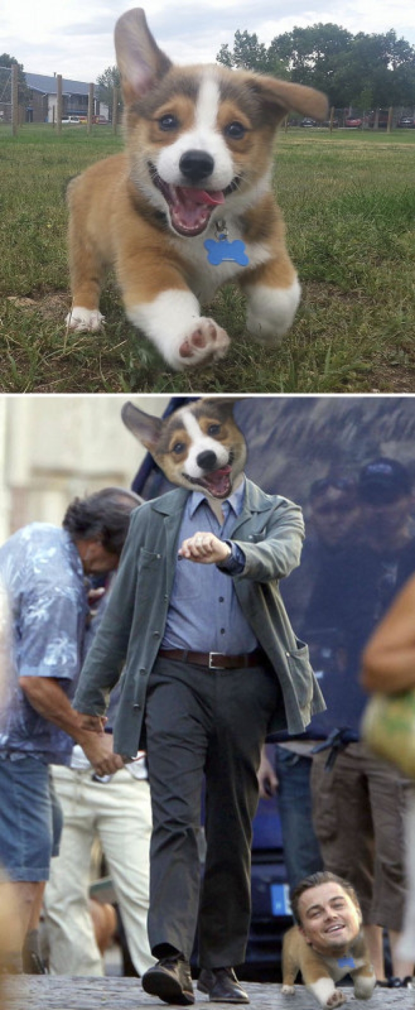 25 works of the winners of photoshop battles 25 works of the winners of photoshop battles