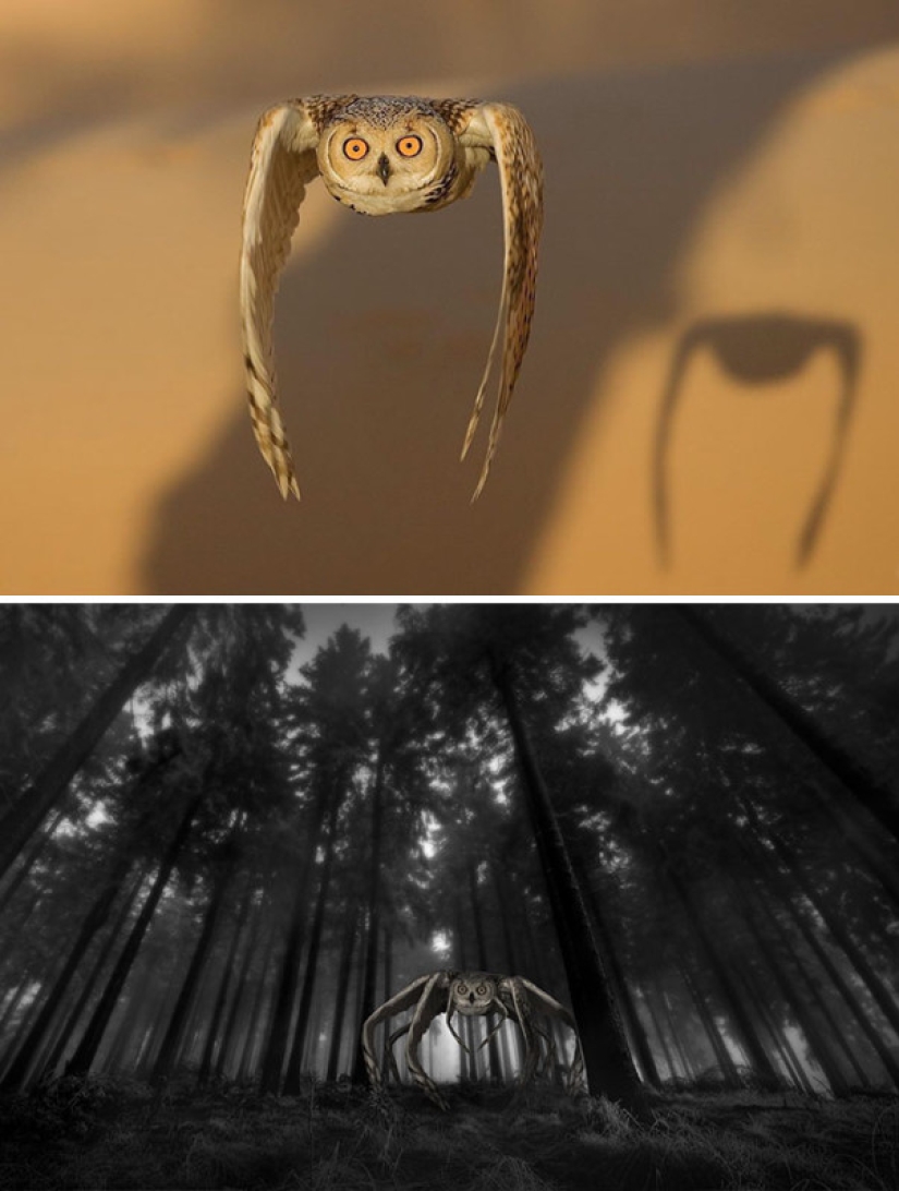 25 works of the winners of photoshop battles 25 works of the winners of photoshop battles