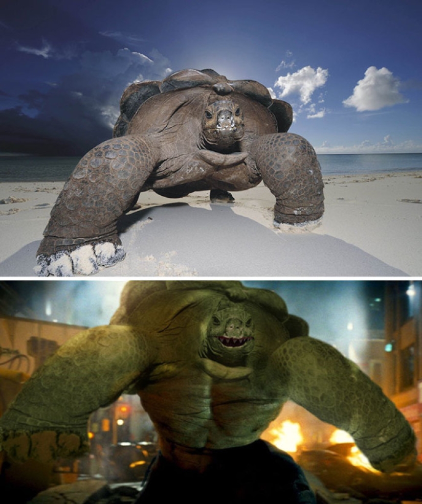 25 works of the winners of photoshop battles 25 works of the winners of photoshop battles