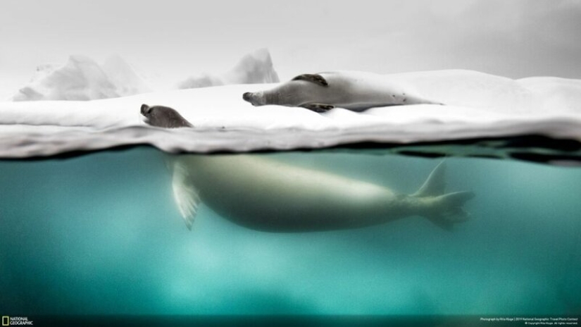 26 best photos from the National Geographic 2019 Travel Photo Contest