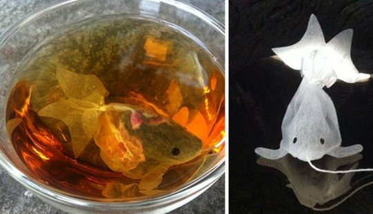 28 examples of ingenious product packaging that has no place in the trash 28 examples of ingenious product packaging that has no place in the trash