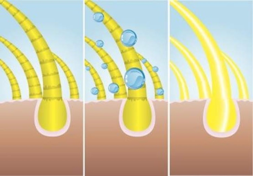 30 formas interesantes de usar el limón 30 formas interesantes de usar el limón