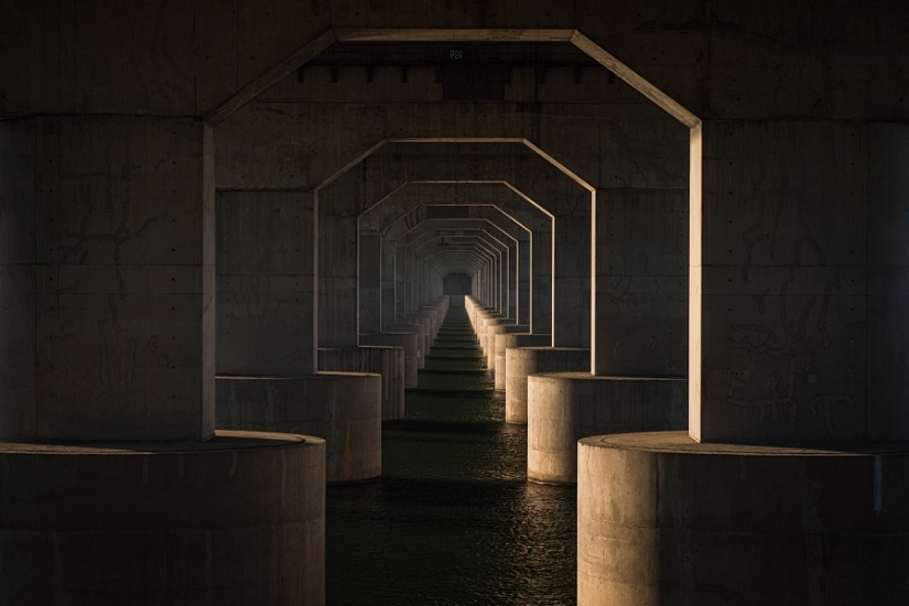 30 harmonious photos with perfect symmetry 30 harmonious photos with perfect symmetry