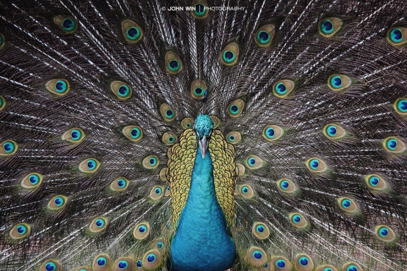 30 harmonious photos with perfect symmetry 30 harmonious photos with perfect symmetry