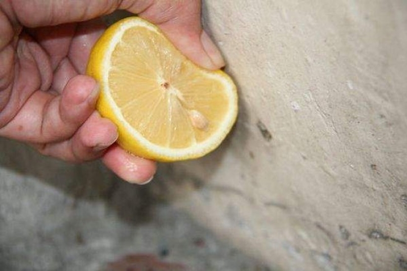 30 interesting ways to use lemon 30 interesting ways to use lemon
