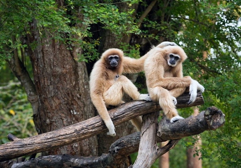 30 lugares para visitar en Tailandia